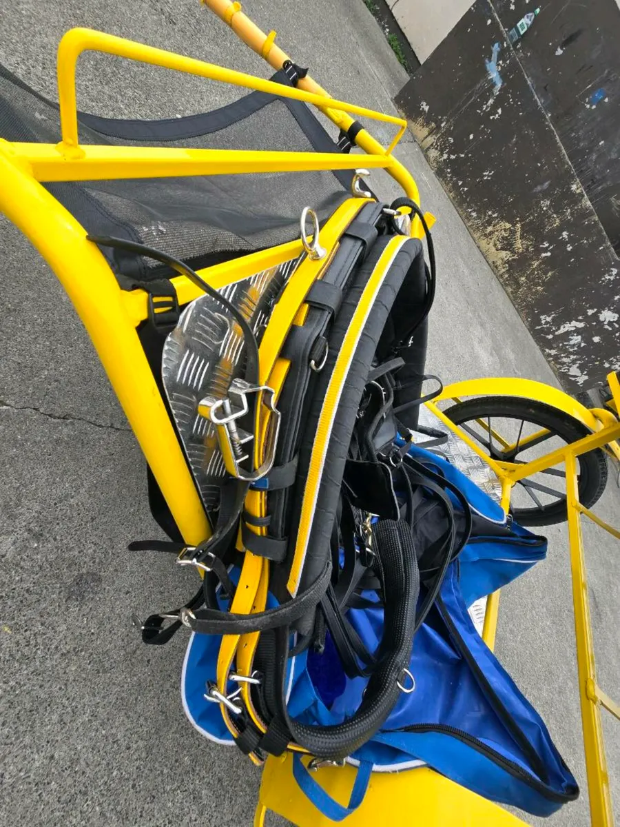 Harness - Image 1