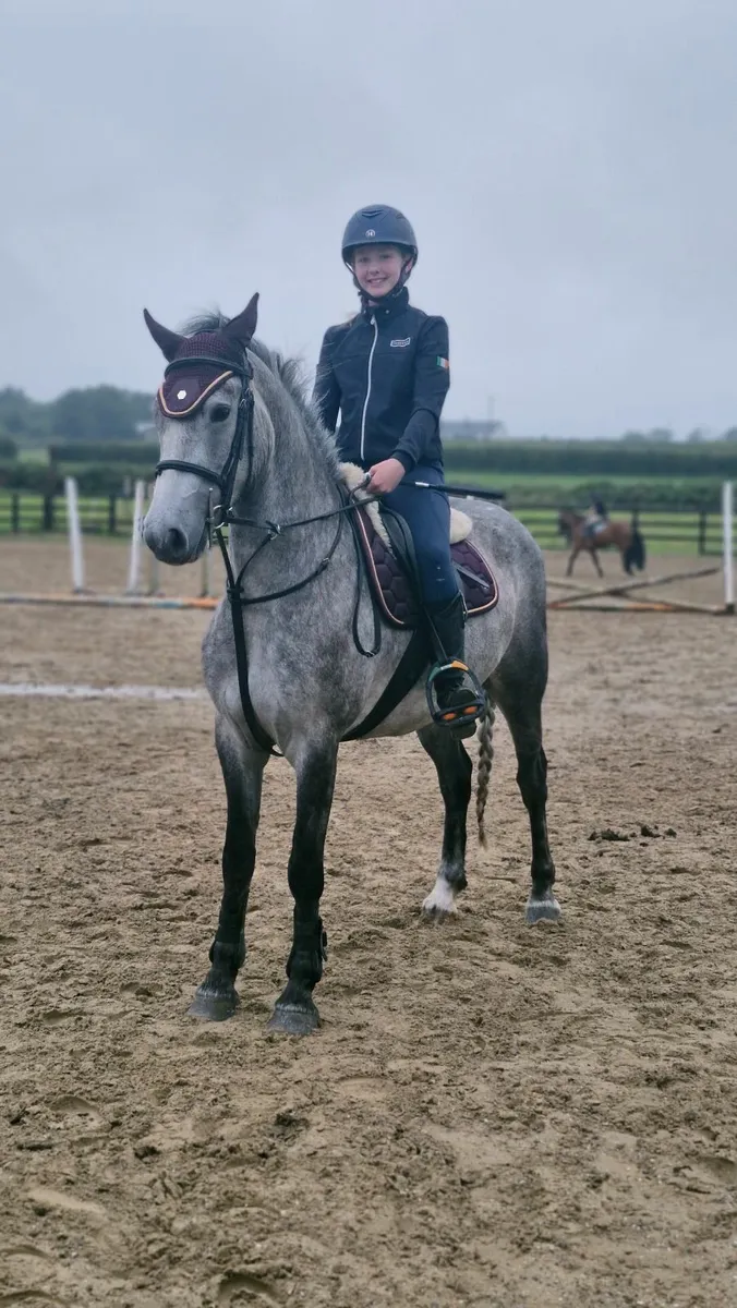 138 pony - Image 1