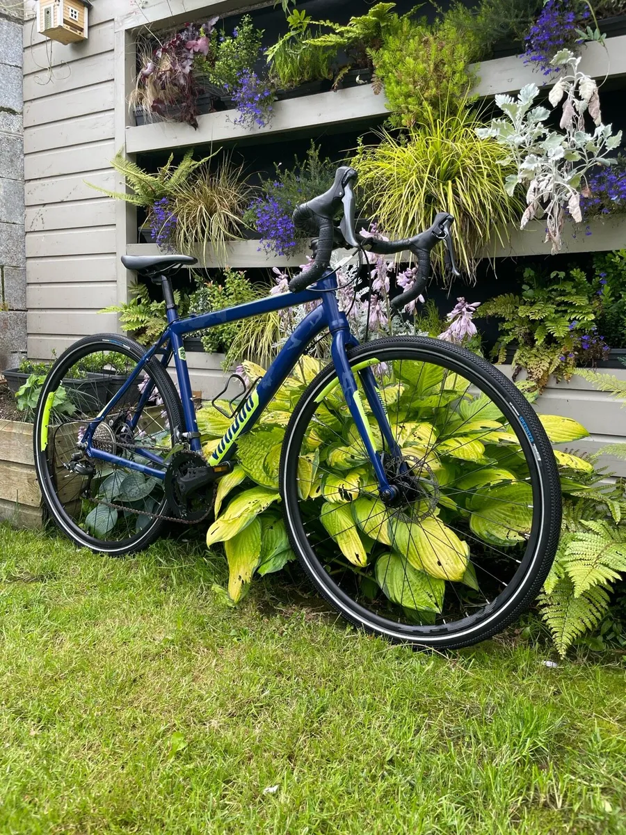 Voodoo Bike - Image 2