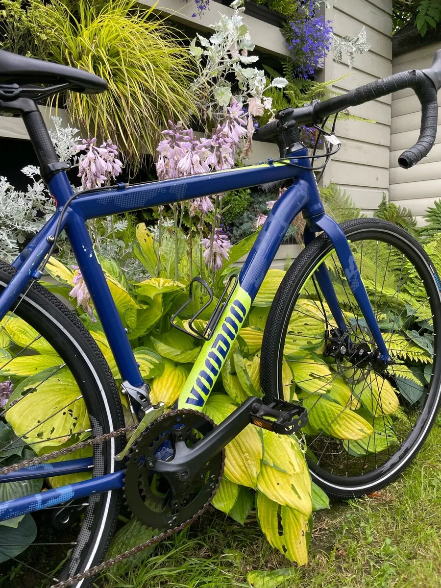 Voodoo Bike - Image 3
