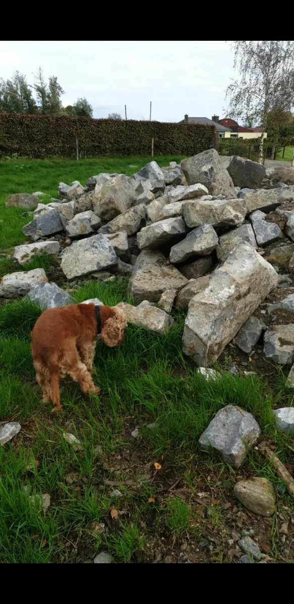 Limestone - Image 1