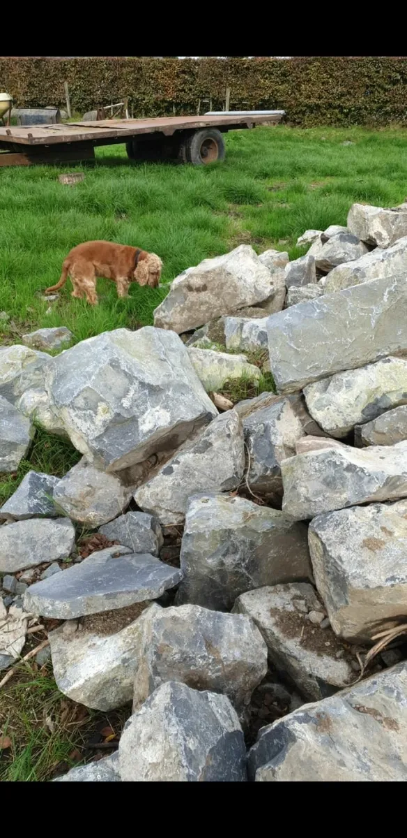 Limestone - Image 4