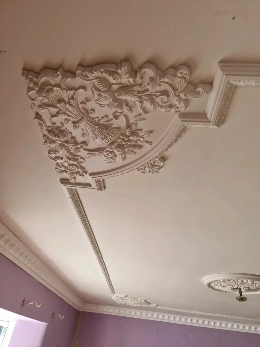 Coving, mouldings, ceiling roses, Pilasters - Image 2