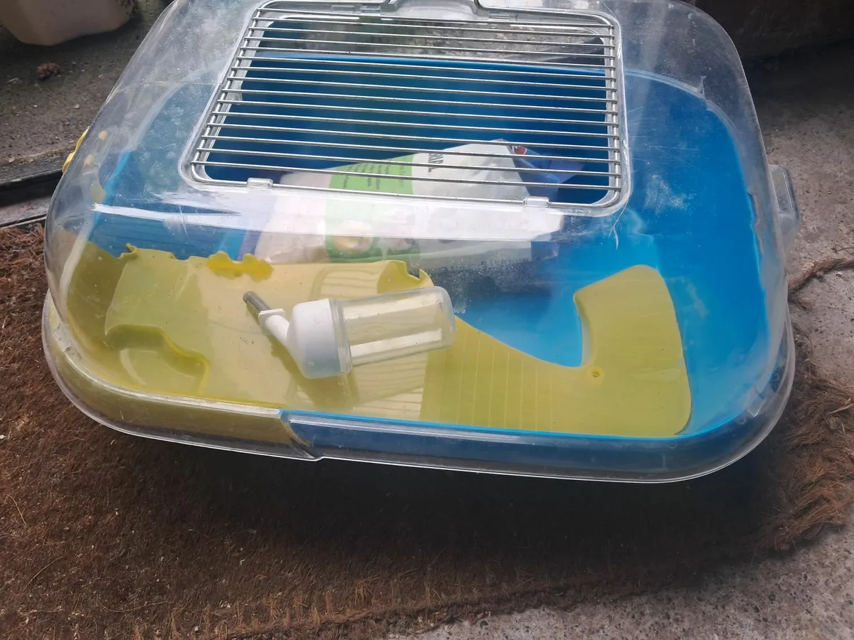 Hamster cages - Image 3
