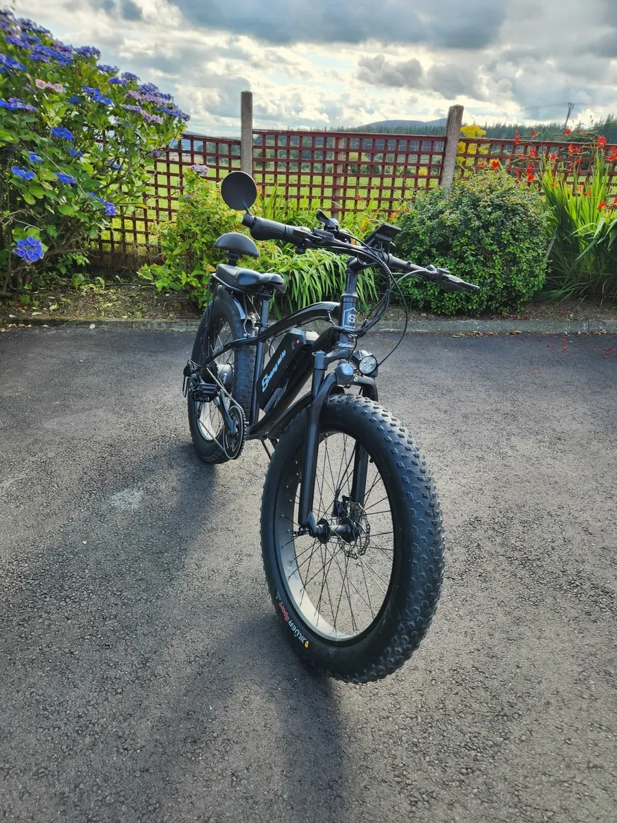 Sheng Mi Lo electric bike - Image 1