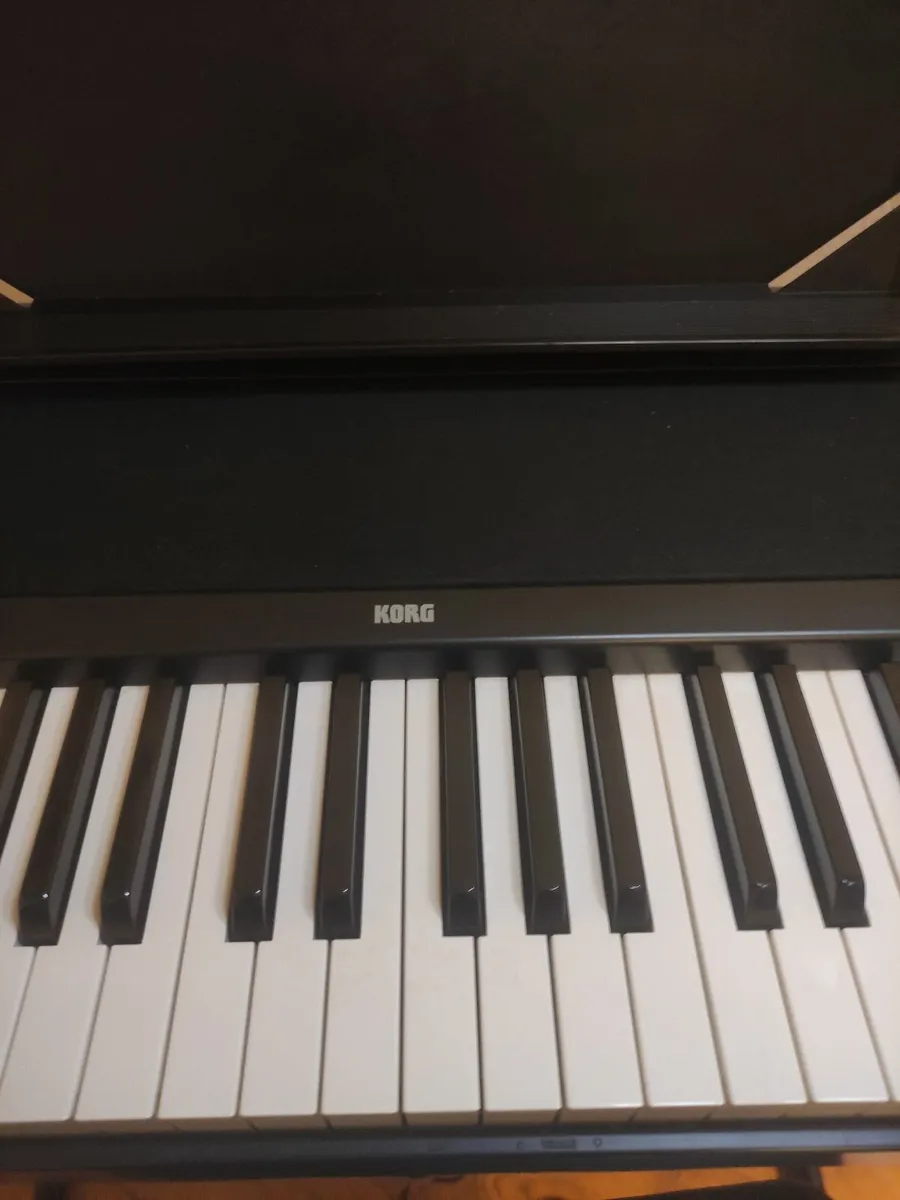 Korg b1 digital piano - Image 3