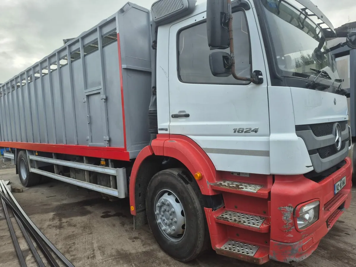 Mercedes Axor Cattle Truck - Image 3
