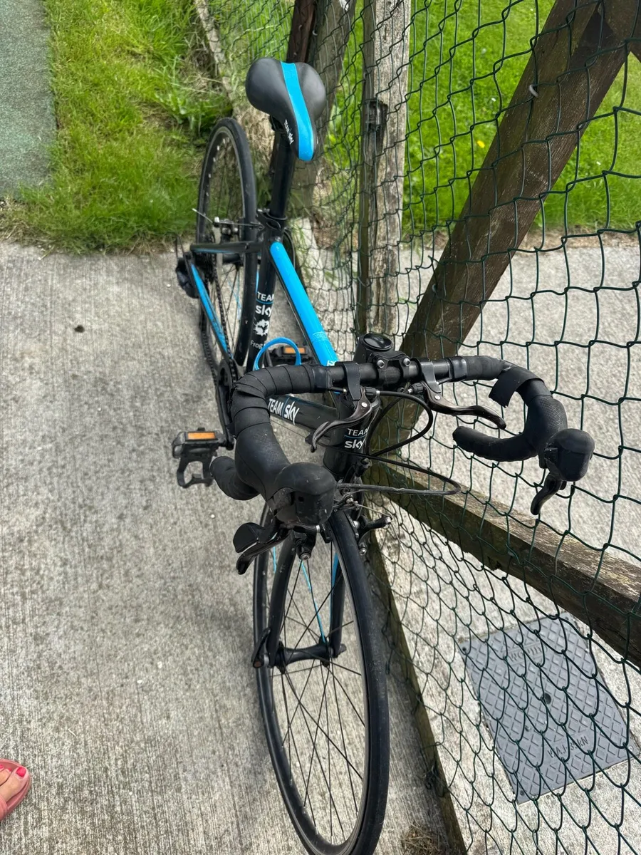 Bicycle - Image 4