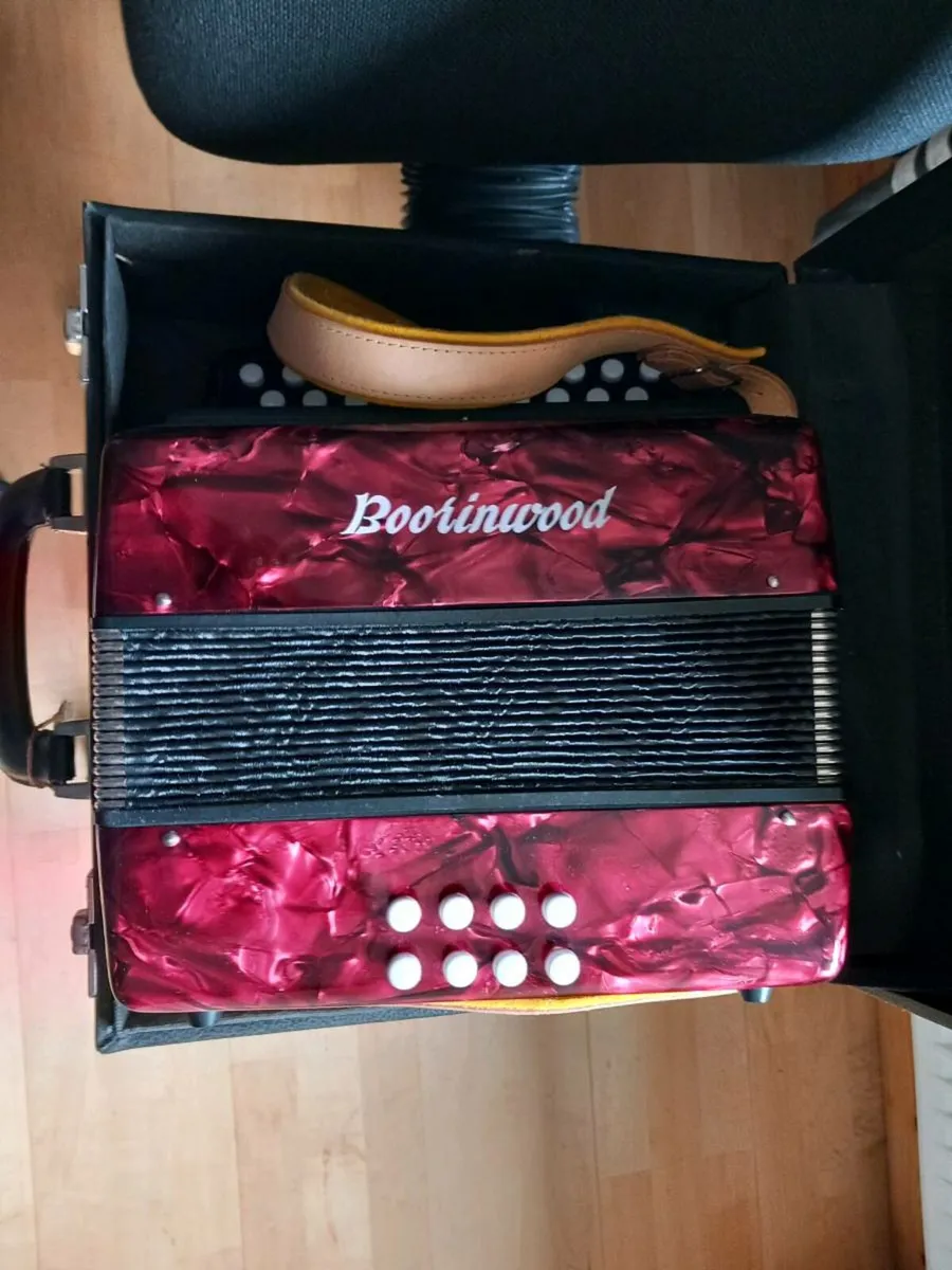Button accordion - Image 1
