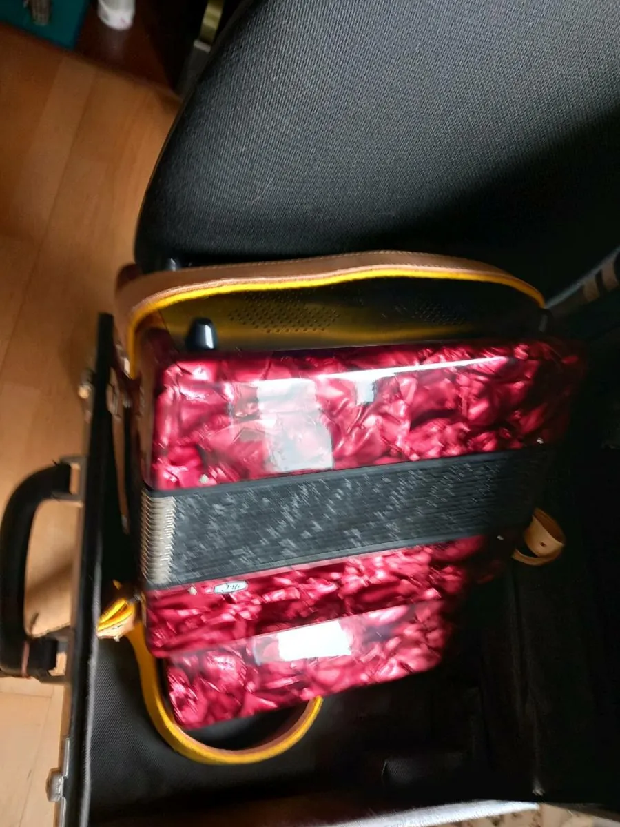 Button accordion - Image 2