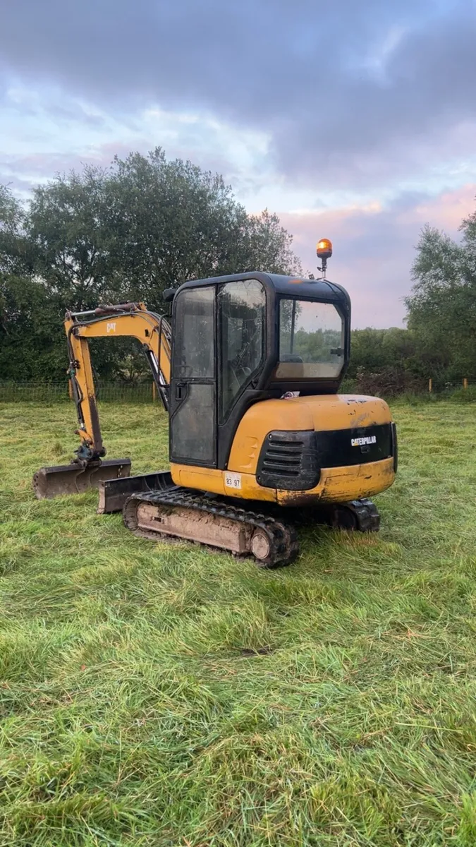 Cat 303.5 - Image 1