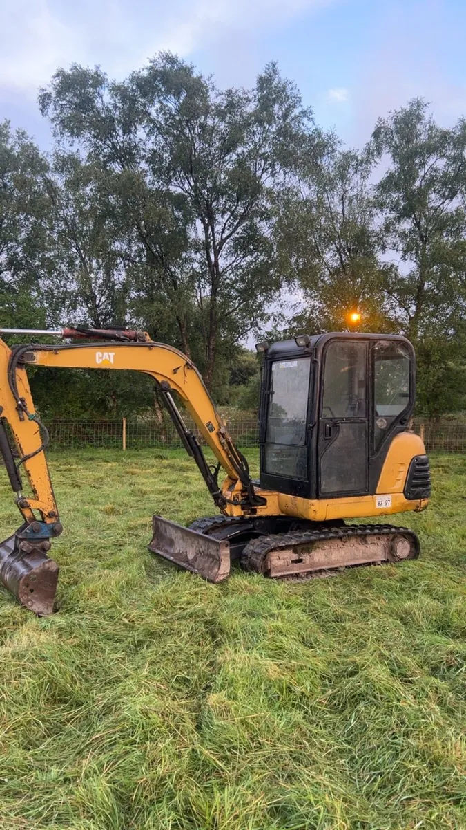 Cat 303.5 - Image 4