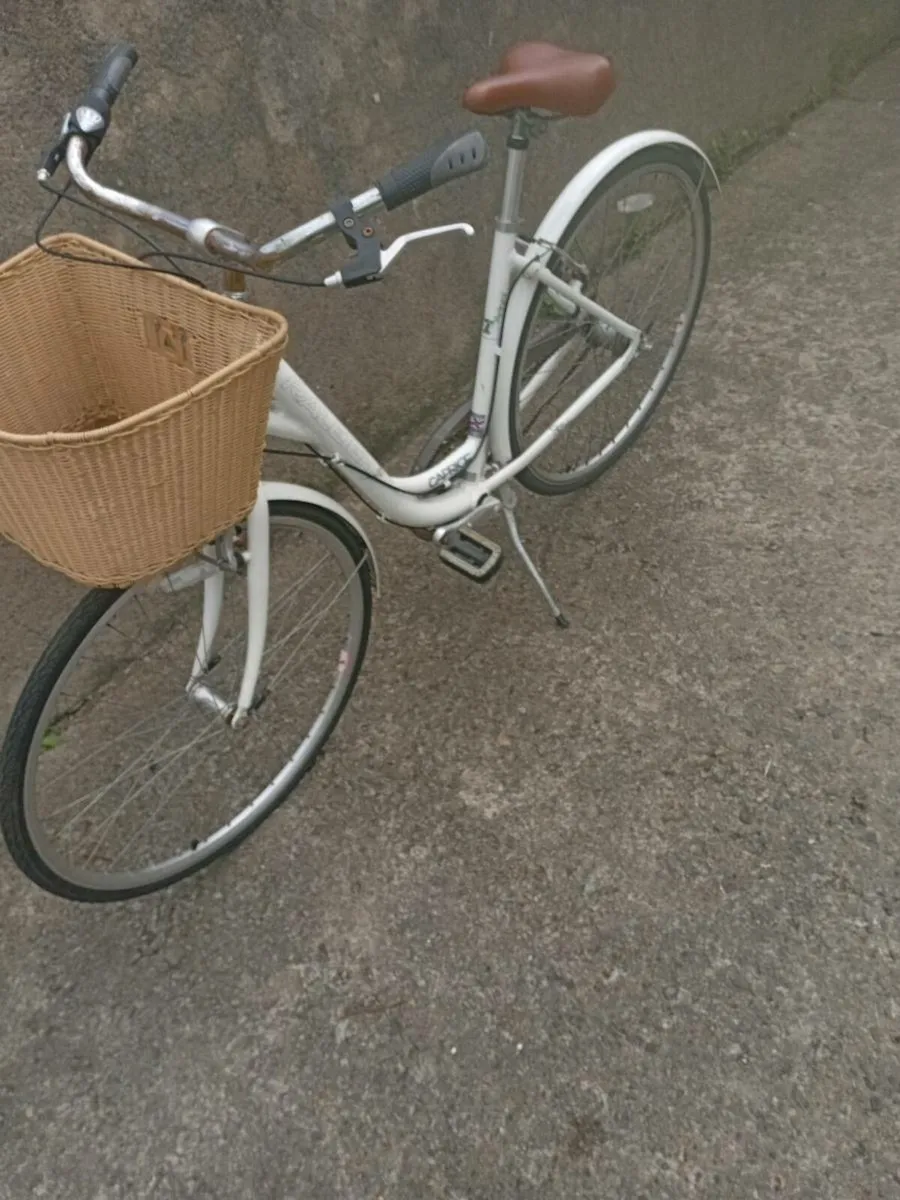 Adults bike - Image 1