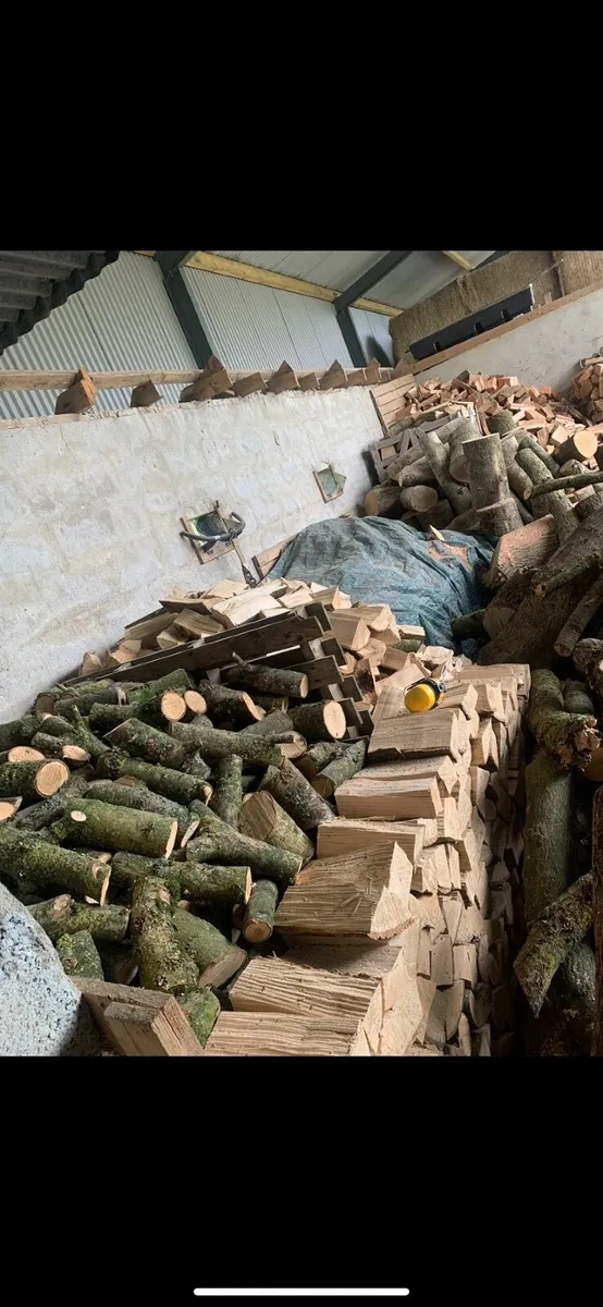 Dry ash hardwood - Image 3