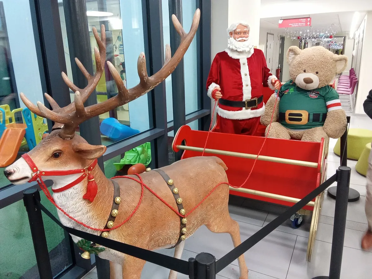 Commercial Christmas sleighs - Image 2