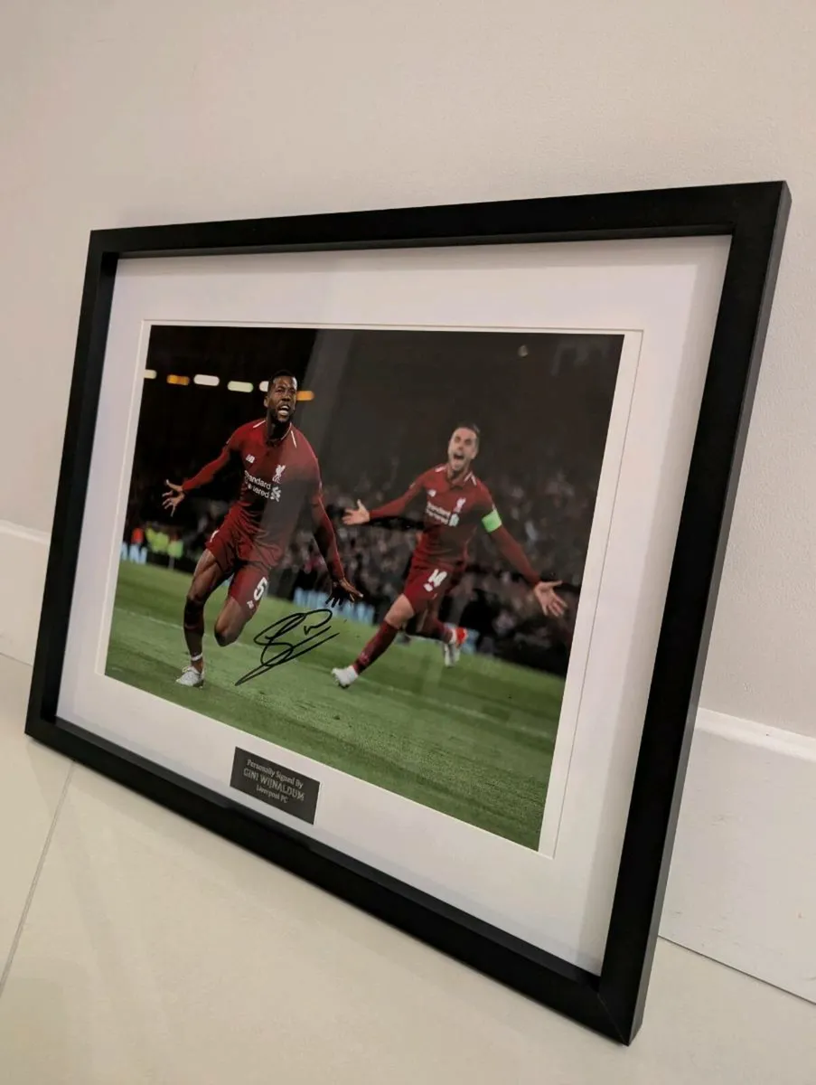 Gini Wijnaldum Liverpool FC signed 16" x 12" photo - Image 1