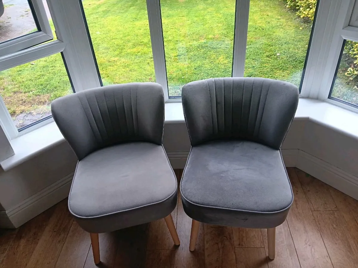 2 Grey Velvet Occasional Chairs - Image 1
