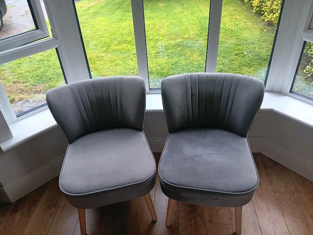2 Grey Velvet Occasional Chairs - Image 2