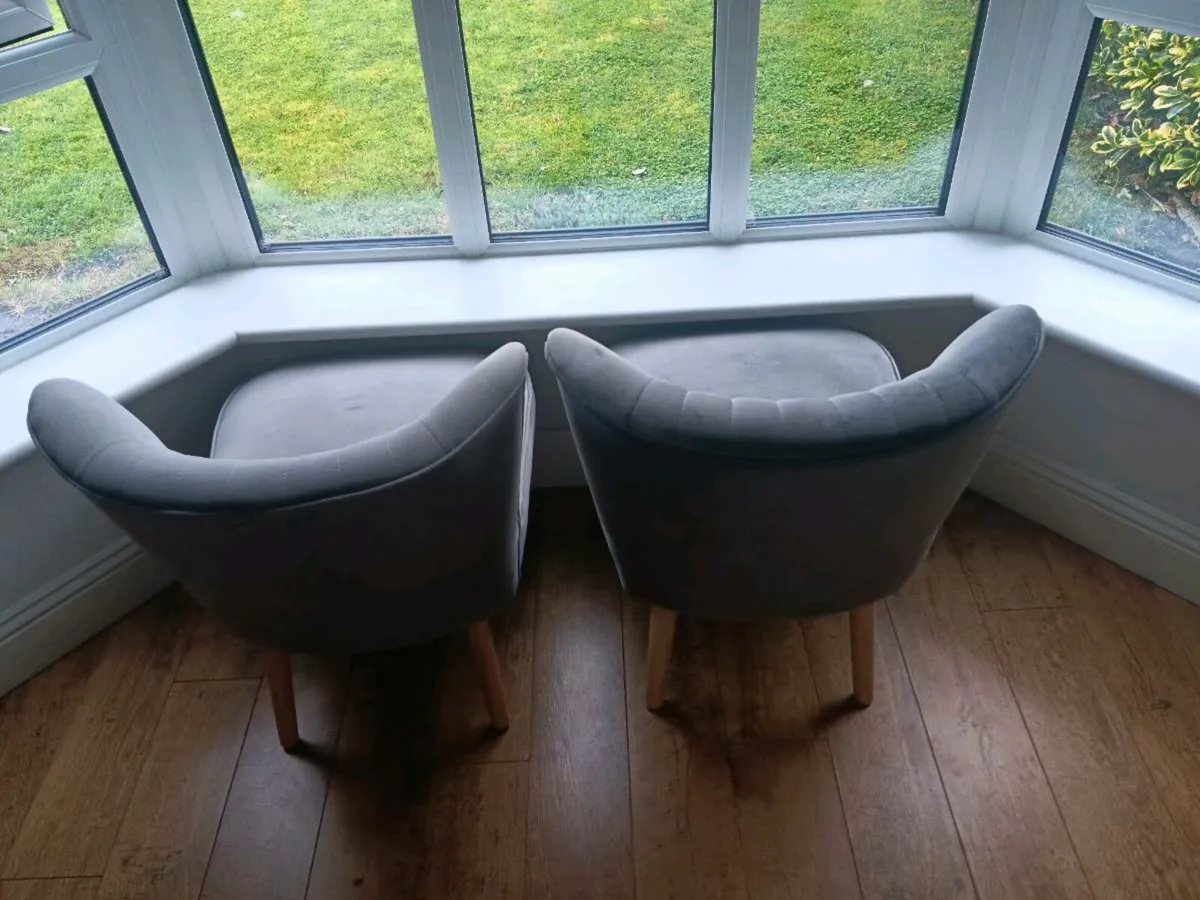 2 Grey Velvet Occasional Chairs - Image 3