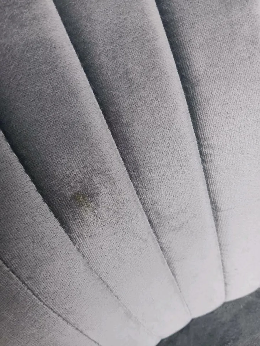 2 Grey Velvet Occasional Chairs - Image 4