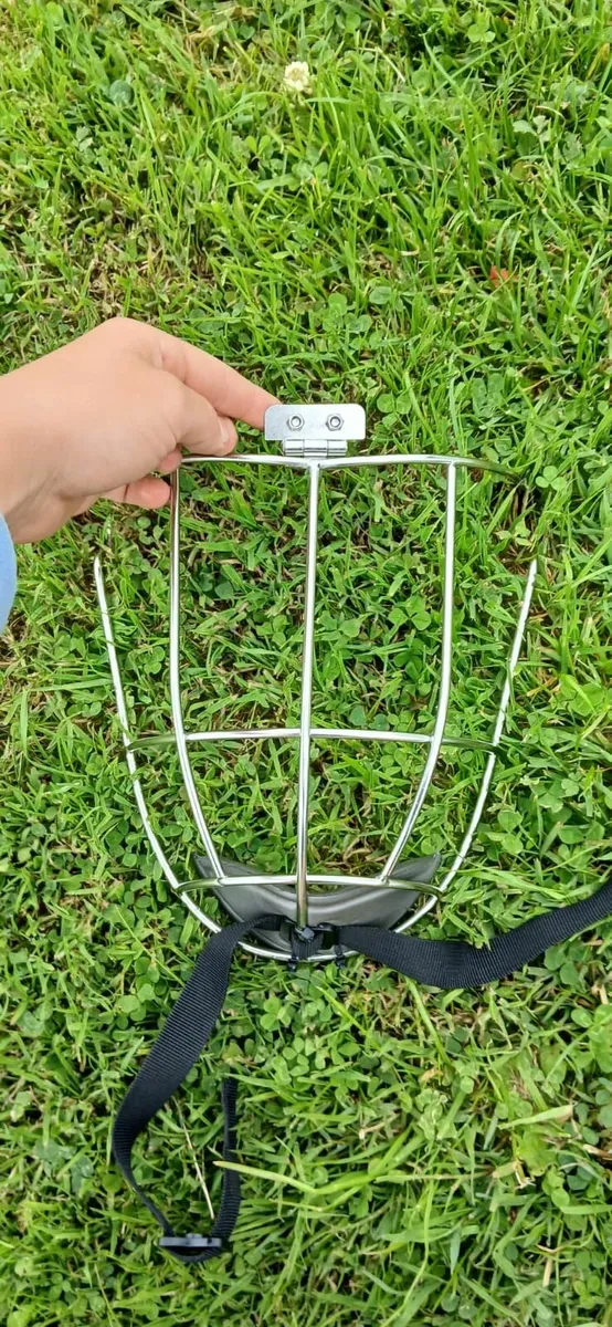 Kilkenny FaceGuard - Image 1