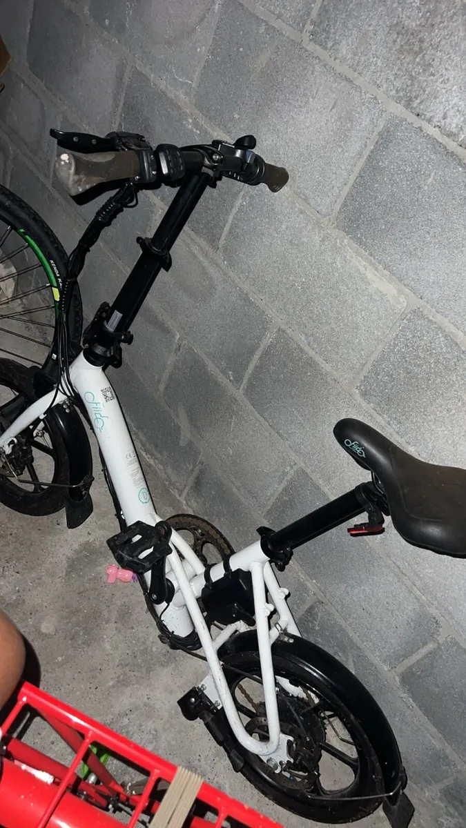 Fildo bike - Image 1