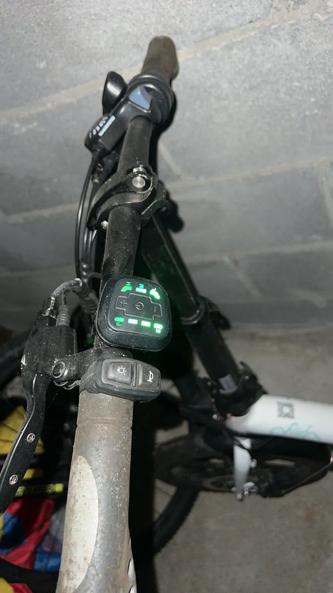 Fildo bike - Image 2