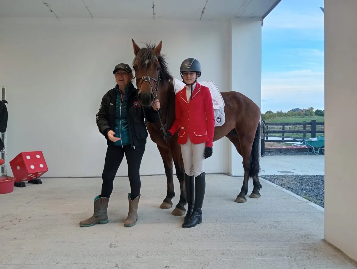 13 year old schoolmaster gelding 14’2 - Image 4