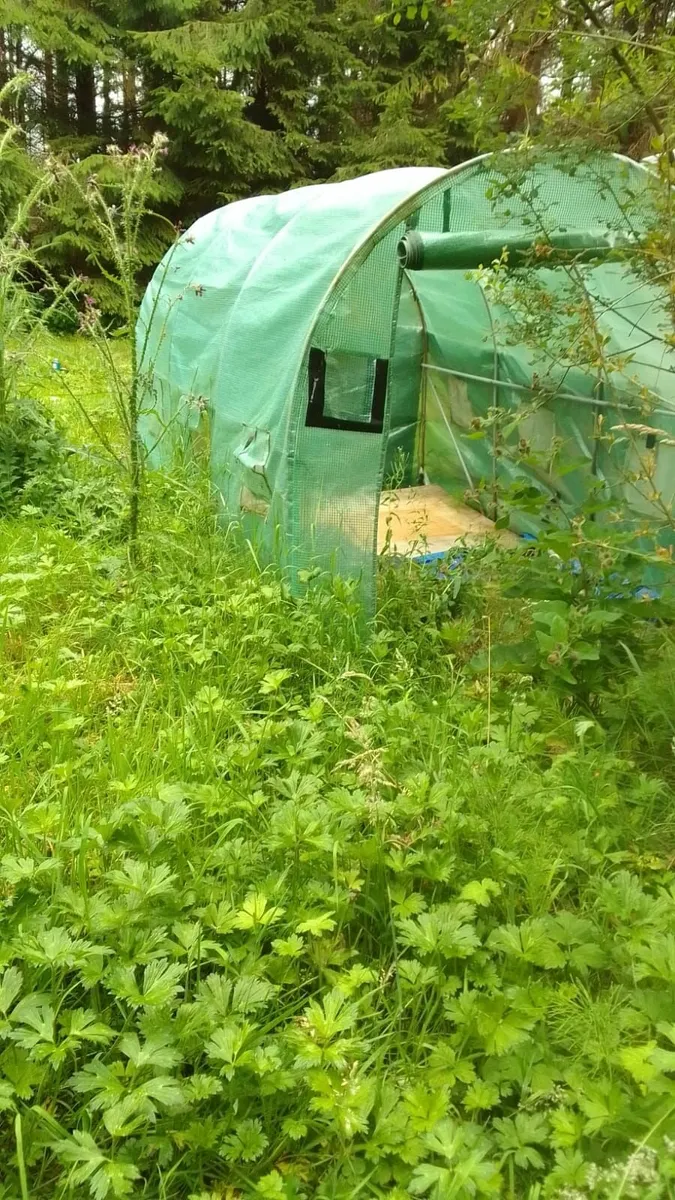 Green house tent - Image 2
