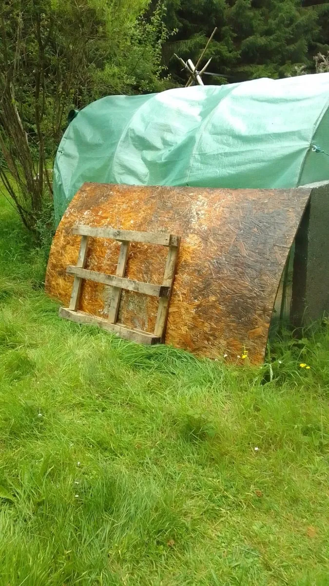 Green house tent - Image 3