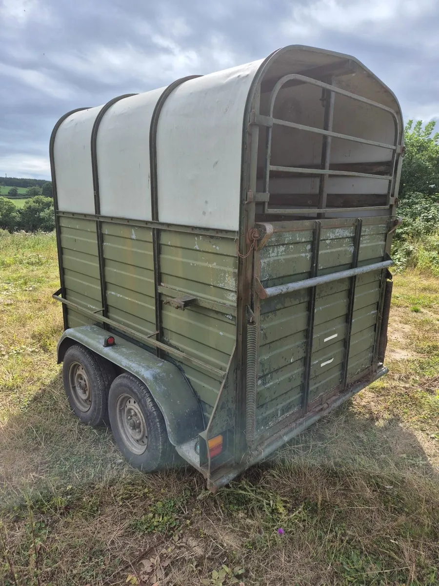 Galway horsebox - Image 2
