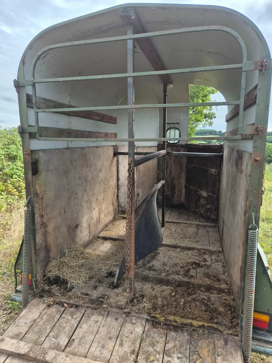 Galway horsebox - Image 3