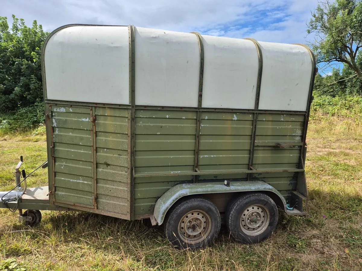 Galway horsebox - Image 4