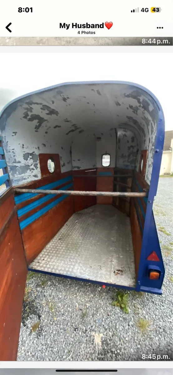 Horsebox - Image 4