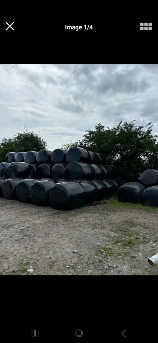 Empty silage pit