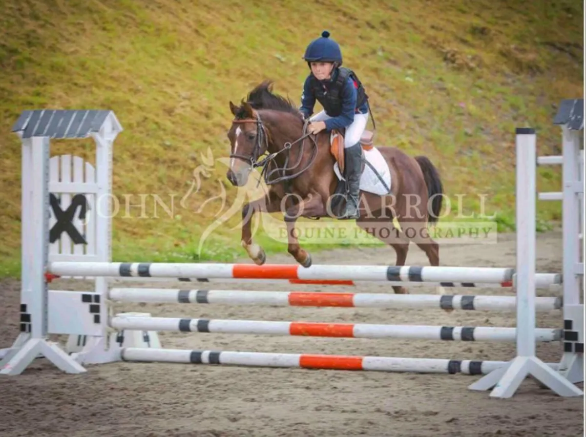 128 jumping pony - Image 1
