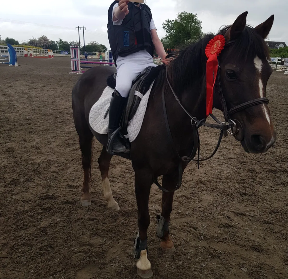 128 jumping pony - Image 2