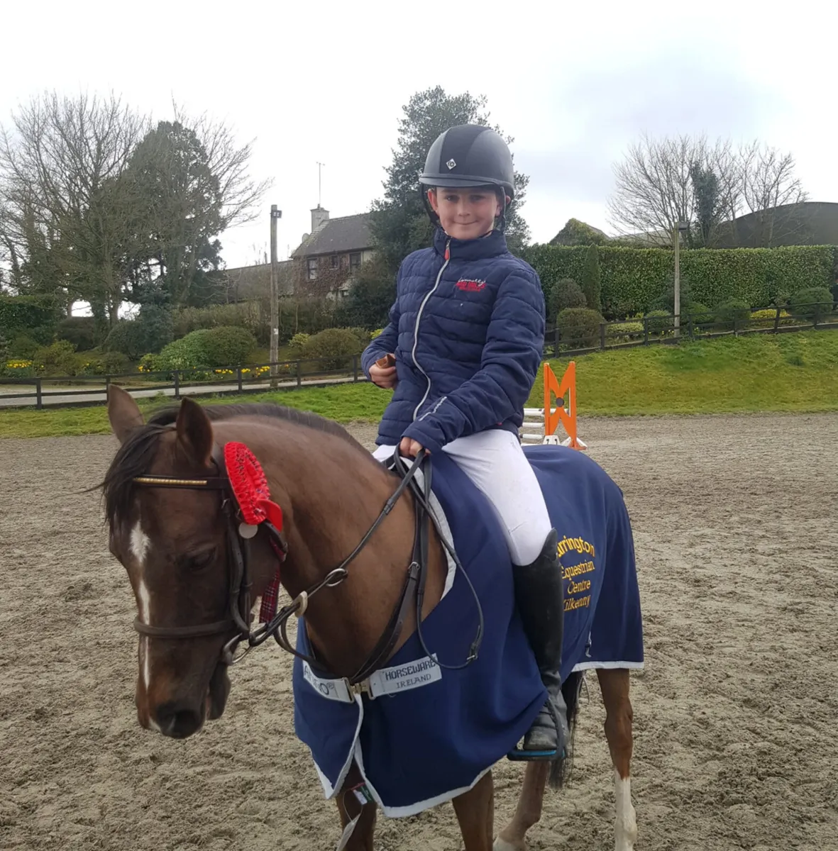 128 jumping pony - Image 3