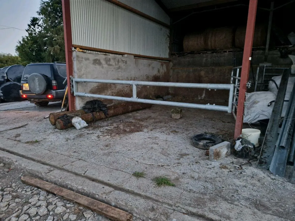 Barrier for Cattle shed - Image 1