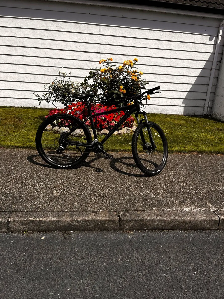 Bycicle - Image 4