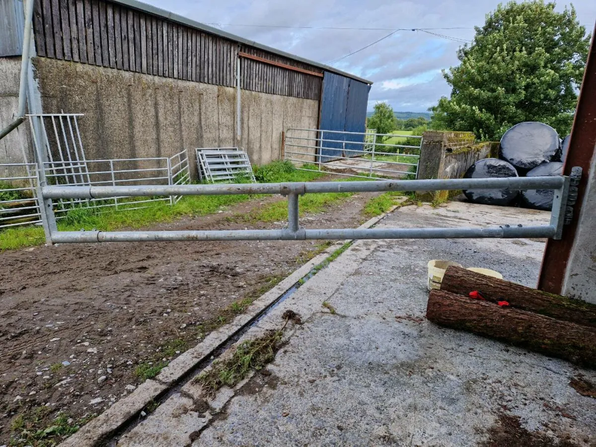 Barrier for Cattle shed - Image 3