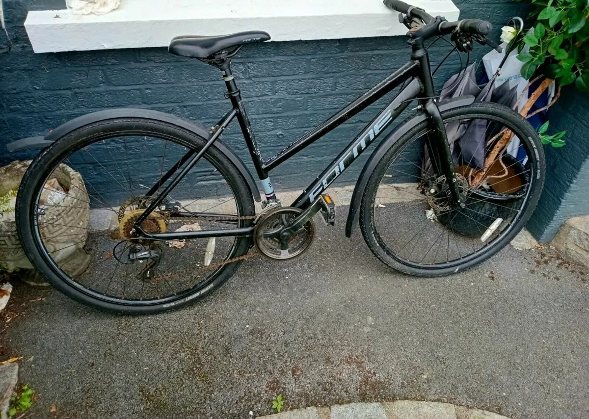 LADIES BICYCLE - Image 1