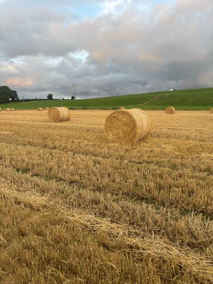 Straw