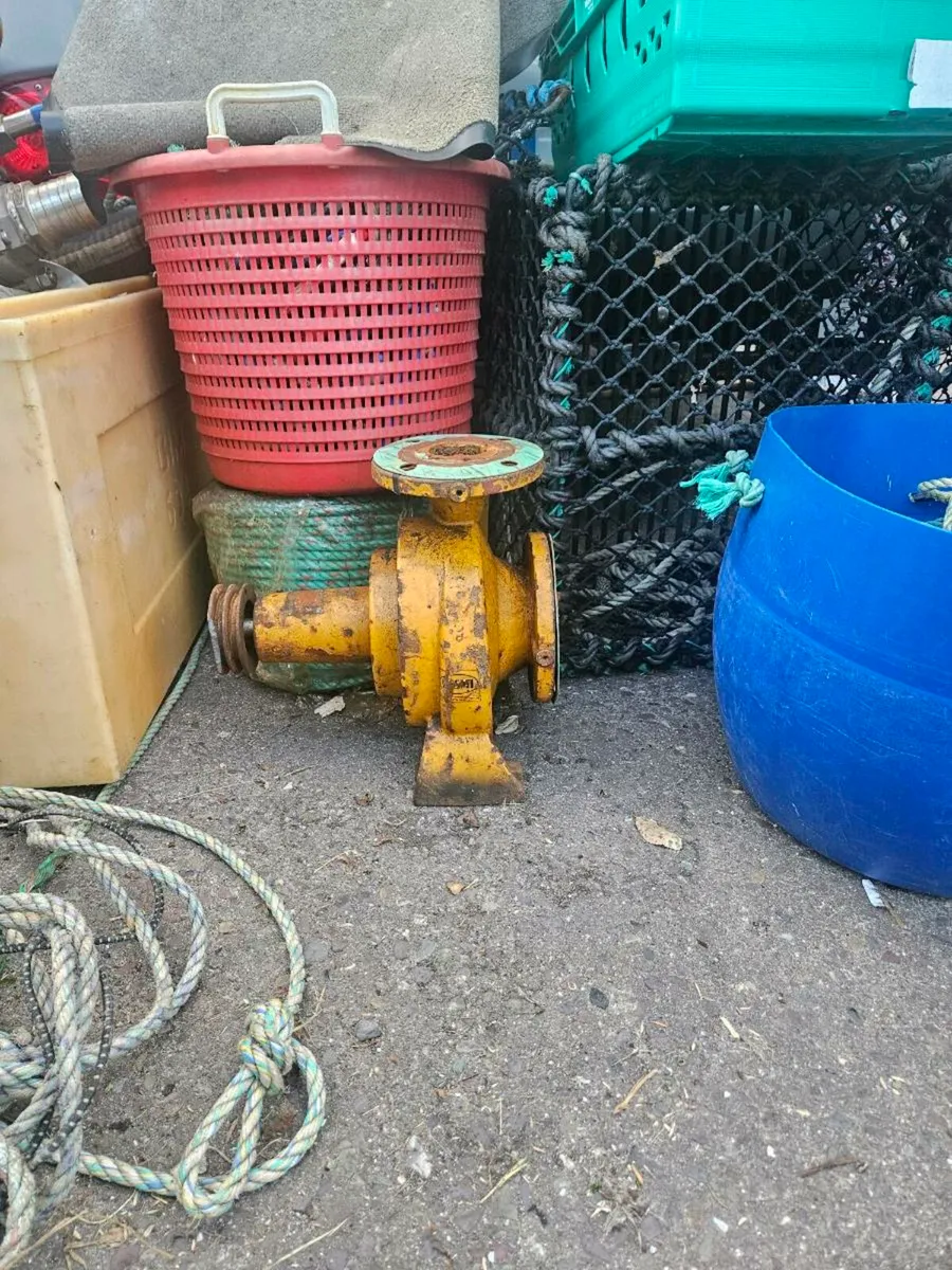 3" desmi pump - Image 1