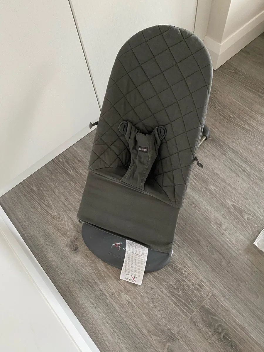 Baby Bjorn Bouncer - Image 1