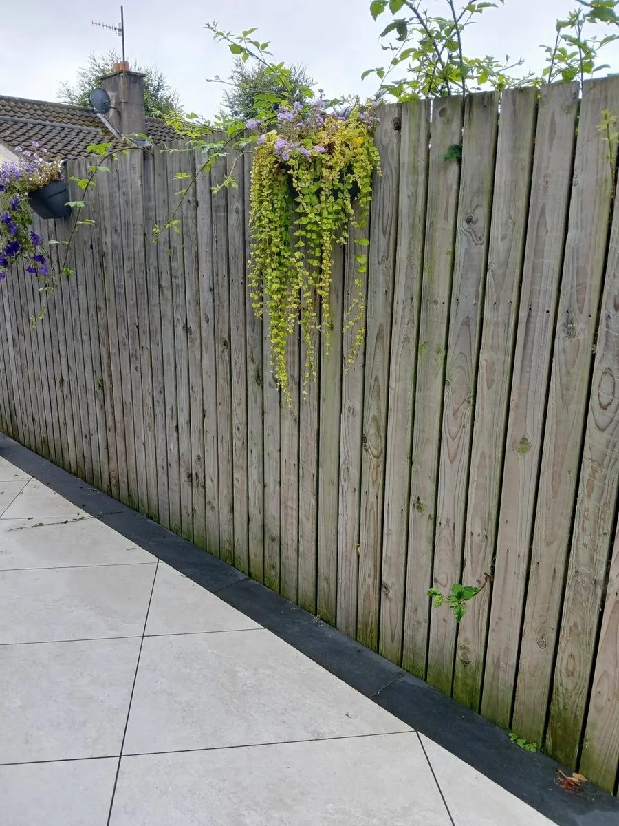 Timber fencing - Image 1