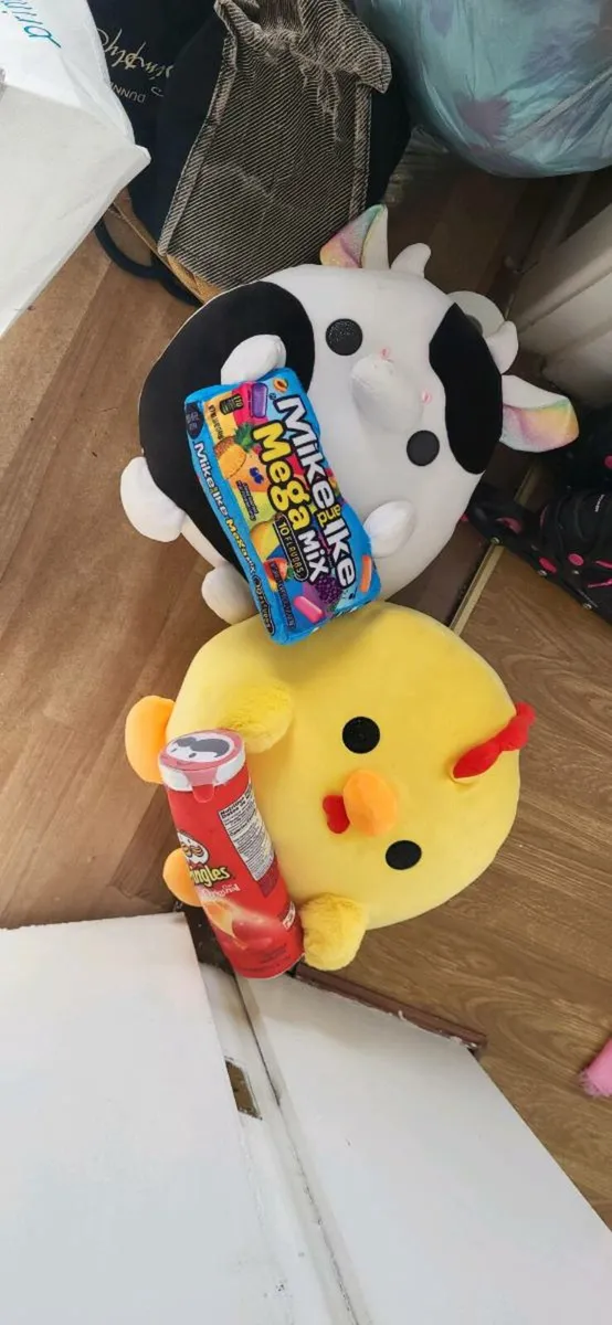 Teddy's