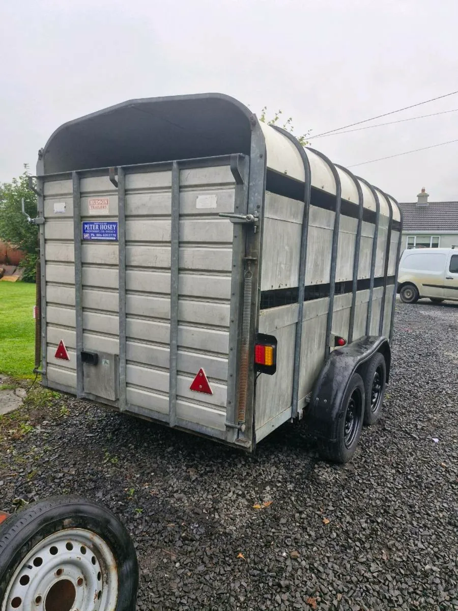 Hudson. 12. By. 6.   Cattle trailer - Image 1