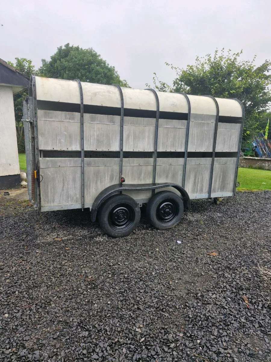 Hudson. 12. By. 6.   Cattle trailer - Image 2