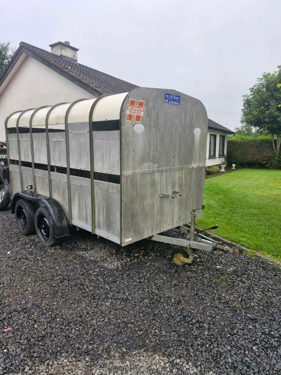Hudson. 12. By. 6.   Cattle trailer - Image 3